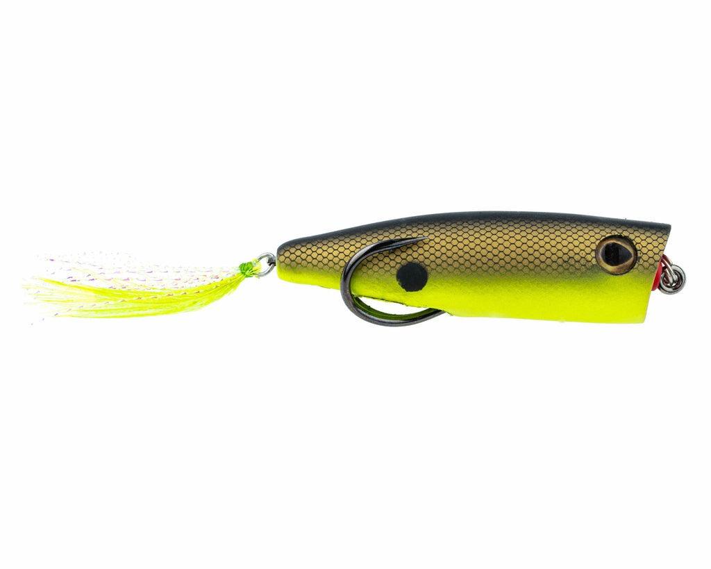 American Baitworks Zoo Pop 3/8oz Topwater Popper-Lures-American Baitworks-Chartreuse Shad-Tackle World