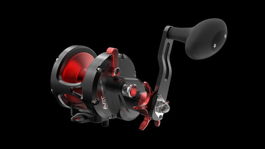 Avet MXJ Star Drag Reels-Reel-Avet-Black-Tackle World