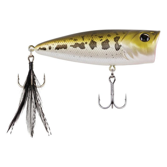 Berkley Bullet Pop Poppers-Lures-Berkley-Baby Bass-Length: 60mm - Weight: 1/5oz-Tackle World