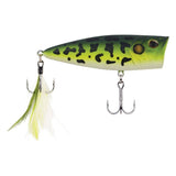 Berkley Bullet Pop Poppers-Lures-Berkley-MF Frog-Length: 60mm - Weight: 1/5oz-Tackle World