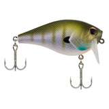 Berkley WakeBull Crankbaits-Lures-Berkley-MF Bluegill-Length: 60mm - Weight: 2/5oz-Tackle World