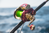 Daiwa 2024 Seaborg 1800M-RJ Electric Reel