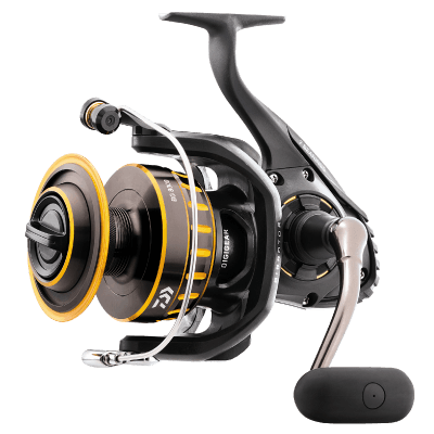 Daiwa BG Spinning Reels-Reel-Daiwa-Tackle World