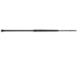 Jigging World Nexus Surf Spinning Rods-Rod-Jigging World-Tackle World