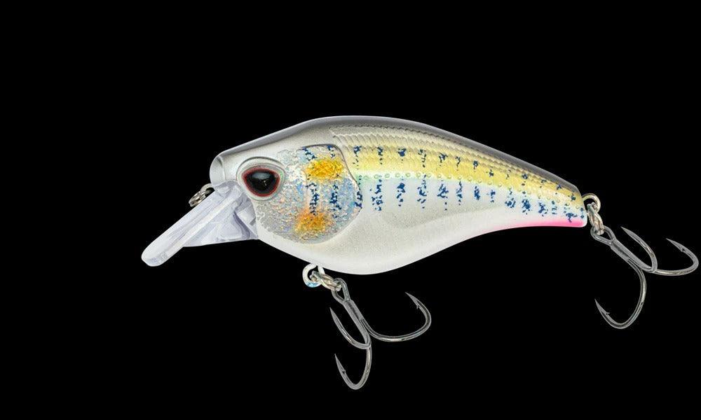 Nomad Atlas 70 Square Bill Crank Floating Lure-Lures-Nomad-Length 2-3/4" Weight 3/4oz Depth 2-4ft Hook Size #2-Tennessee Shad-Tackle World