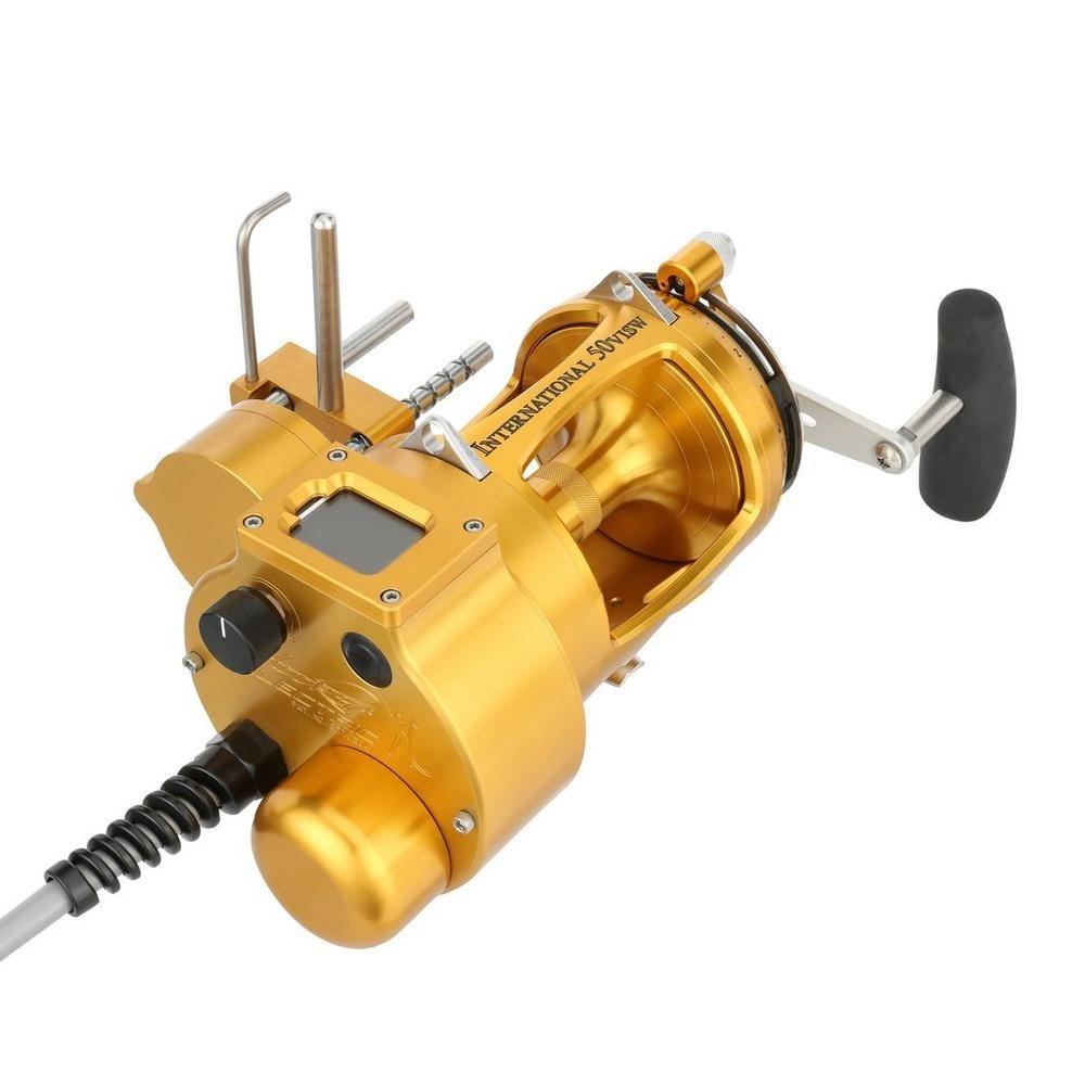 Penn International VI 80 1.5:1 Electric Autostop Conventional Reel-Reel-Penn-Gold-Tackle World