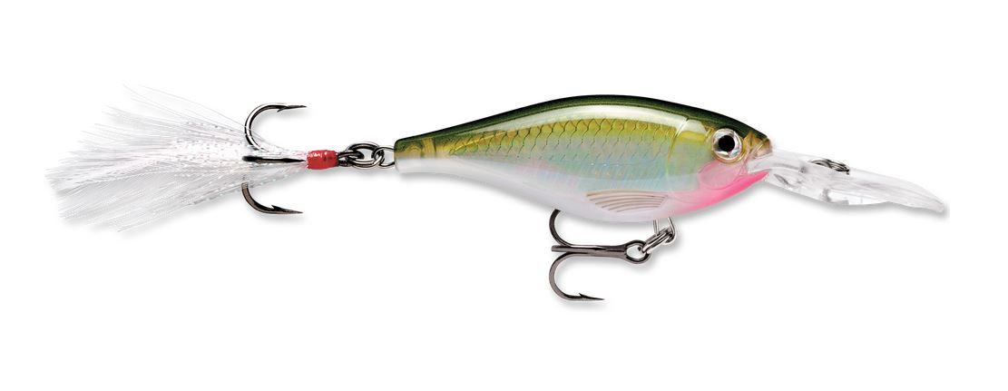 Rapala X-Rap Shad Jerkbaits-Lures-Rapala-Olive Green-Length: 2 1/2" - Weight: 5/16oz-Tackle World