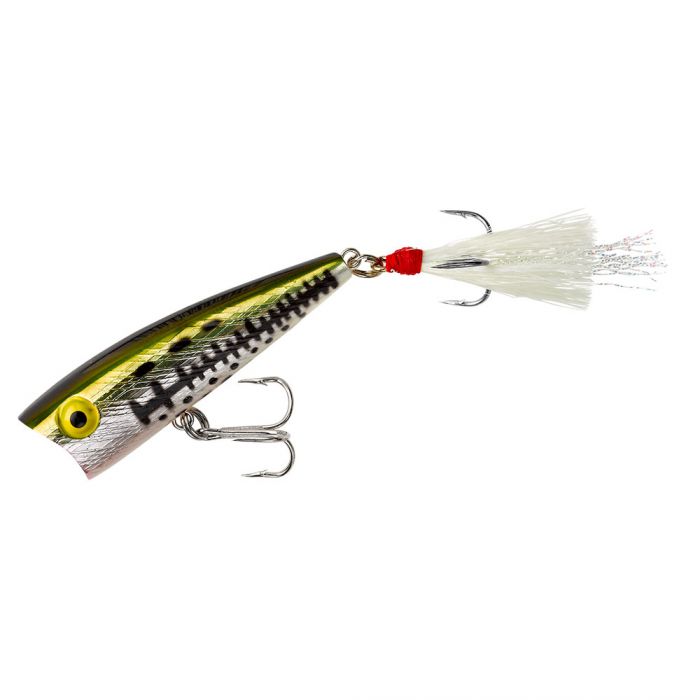 Rebel Magnum Pop-R Poppers-Lures-Rebel-Ol' Bass-Tackle World