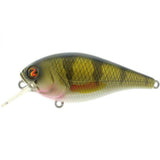 River2Sea Ish Monroe's Biggie Squarebill Crankbait Lures-Lures-River2Sea-Biggie Smalls (2-1/4" 5/16oz)-Real Perch-Tackle World