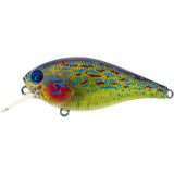 River2Sea Ish Monroe's Biggie Squarebill Crankbait Lures-Lures-River2Sea-Biggie Smalls (2-1/4" 5/16oz)-Real Sunfish-Tackle World